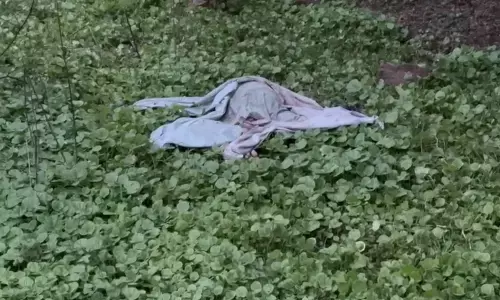 CG Crime : महिला की अर्धनग्न शव मिलने से फैली सनसनी, दुष्कर्म के बाद हत्या की आशंका, जांच में जुटी पुलिस