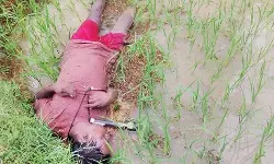 CG News : करंट की चपेट में आने से किसान की मौत, अगले दिन खेत में मिला शव CG News : करंट की चपेट में आने से किसान की मौत, अगले दिन खेत में मिला शव
