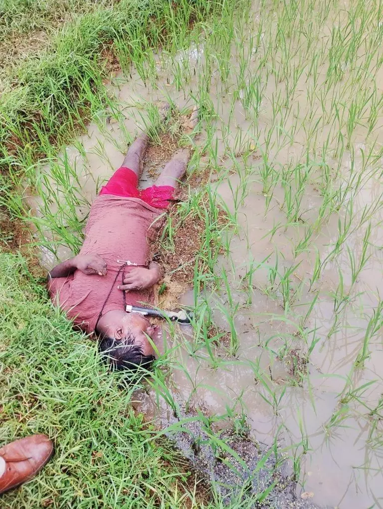 CG News : करंट की चपेट में आने से किसान की मौत, अगले दिन खेत में मिला शव CG News : करंट की चपेट में आने से किसान की मौत, अगले दिन खेत में मिला शव