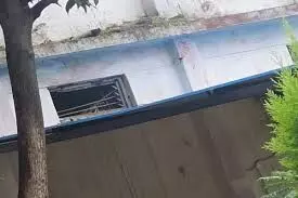 CG News : अंबिकापुर प्लेस ऑफ सेफ्टी सेंटर से 3 बाल अपचारी फरार, सुरक्षा व्यवस्था पर उठे सवाल CG News : अंबिकापुर प्लेस ऑफ सेफ्टी सेंटर से 3 बाल अपचारी फरार, सुरक्षा व्यवस्था पर उठे सवाल