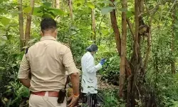 CG Mystery : महामाया पहाड़ पर पेड़ से लटका मिला युवती का कंकाल, पहचान में जुटी पुलिस