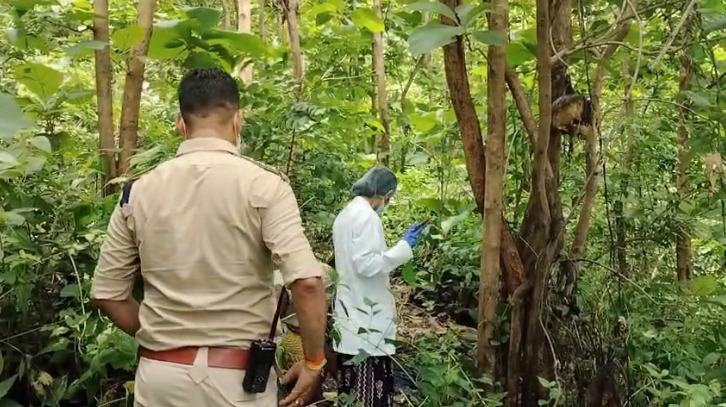 CG Mystery : महामाया पहाड़ पर पेड़ से लटका मिला युवती का कंकाल, पहचान में जुटी पुलिस