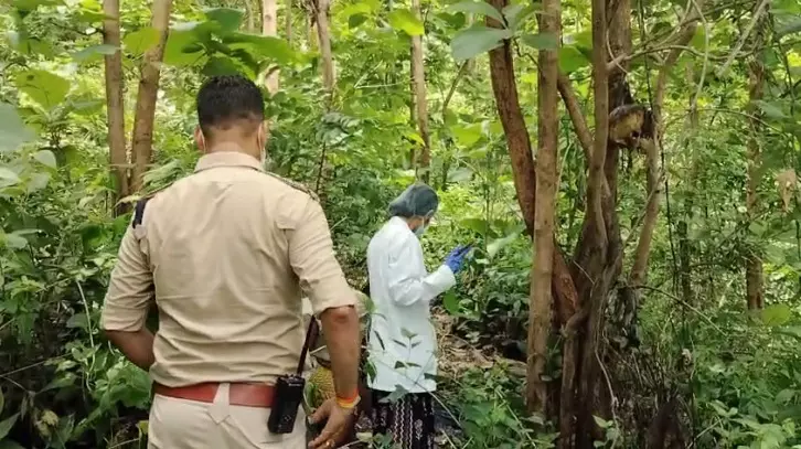 33709-untitled CG Mystery : महामाया पहाड़ पर पेड़ से लटका मिला युवती का कंकाल, पहचान में जुटी पुलिस