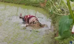 CG Crime : खेत में संदिग्ध हालत में मिली अज्ञात महिला की लाश, सिर मिट्टी से ढका, पुलिस जांच में जुटी CG Crime : खेत में संदिग्ध हालत में मिली अज्ञात महिला की लाश, सिर मिट्टी से ढका, पुलिस जांच में जुटी
