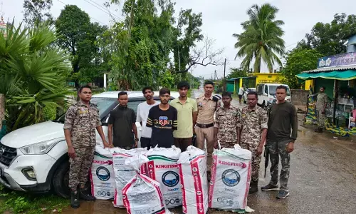 CG Crime : 223 किलो गांजा के साथ अंतर्राज्यीय तस्करी गिरोह का भंडाफोड़, फर्जी नंबर प्लेट वाली क्रेटा समेत 3 गिरफ्तार