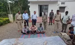 Surajpur Tiger Skin Smuggling : सूरजपुर में बाघ की खाल के साथ तीन तस्कर गिरफ्तार, वन विभाग ने खरीदार बनकर किया बड़ा खुलासा