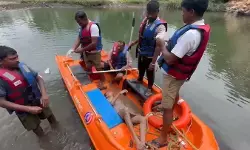 CG News : दमाऊधारा वाटरफॉल में फिसलकर गिरे युवक का शव 28 घंटे बाद बरामद, SDRF-DDRF ने चलाया रेस्क्यू ऑपरेशन