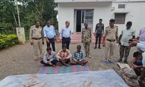 Surajpur Tiger Skin Smuggling : सूरजपुर में बाघ की खाल के साथ तीन तस्कर गिरफ्तार, वन विभाग ने खरीदार बनकर किया बड़ा खुलासा