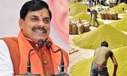 MP में मूंग खरीदी पर किसानों को बड़ी राहत, अब 25% नहीं 60% उपार्जन; स्लॉट बुकिंग की तारीख बढ़ी