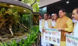 MP News : सिंहस्थ 2028 से पहले उज्जैन को बड़ी सौगात, 15 करोड़ में बनेगा आधुनिक सर्प उद्यान MP News : सिंहस्थ 2028 से पहले उज्जैन को बड़ी सौगात, 15 करोड़ में बनेगा आधुनिक सर्प उद्यान