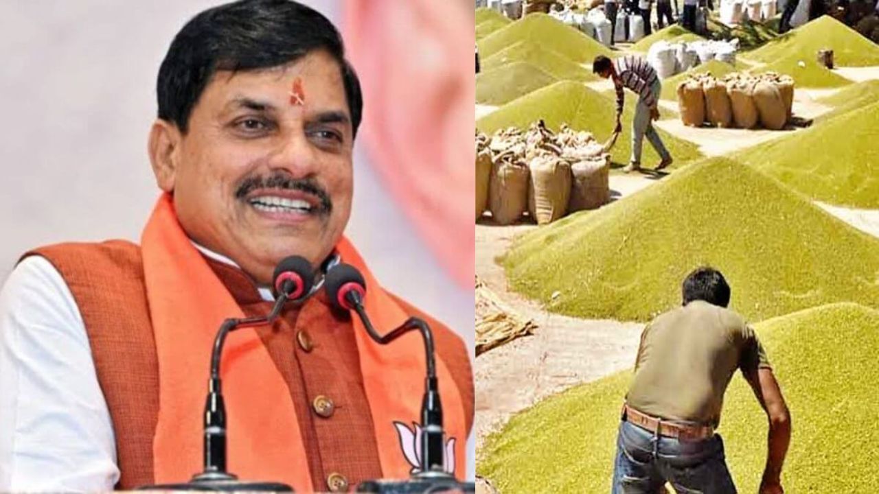 MP में मूंग खरीदी पर किसानों को बड़ी राहत, अब 25% नहीं 60% उपार्जन; स्लॉट बुकिंग की तारीख बढ़ी