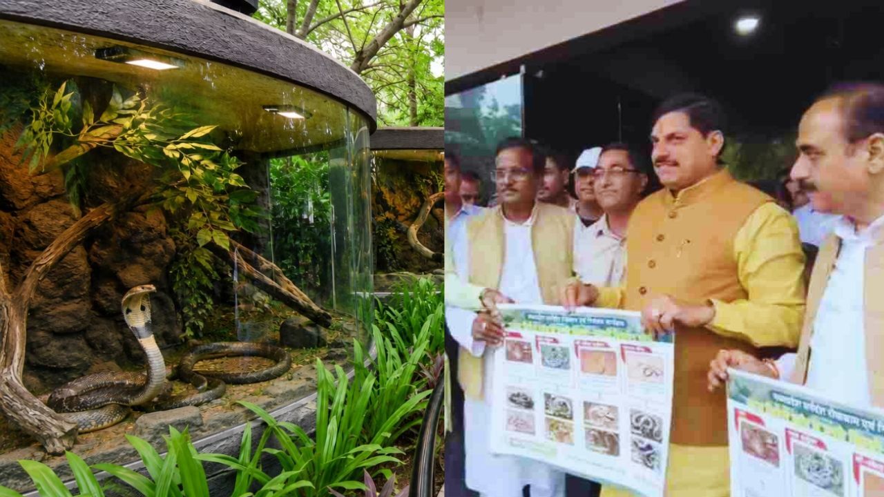 MP News : सिंहस्थ 2028 से पहले उज्जैन को बड़ी सौगात, 15 करोड़ में बनेगा आधुनिक सर्प उद्यान