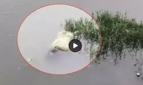 Raipur City News: लखना तालाब में मिली युवती की डेड बॉडी, मृतक की पहचान नहीं, मौके पर पहुंची पुलिस Raipur City News: लखना तालाब में मिली युवती की डेड बॉडी, मृतक की पहचान नहीं, मौके पर पहुंची पुलिस