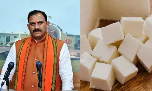 CG News : आज से एनालॉग पनीर पर लगा बैन, स्वास्थ्य मंत्री का बड़ा ऐलान; मिलावटखोरों पर होगी सख्त कार्रवाई