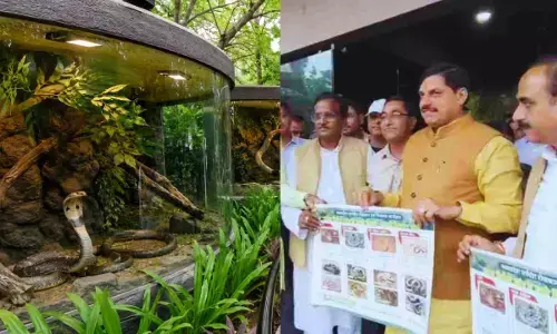 MP News : सिंहस्थ 2028 से पहले उज्जैन को बड़ी सौगात, 15 करोड़ में बनेगा आधुनिक सर्प उद्यान