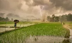 CG Weather Update : बस्तर-दुर्ग में झमाझम, रायपुर सबसे गर्म, आज भी बारिश और बिजली गिरने की चेतावनी