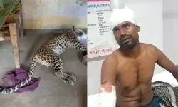 CG News : आधी रात घर में घुसा तेंदुआ, दो ग्रामीणों पर किया हमला, दहशत में लोगों ने घेरकर मार डाला