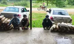 CG Crime : ओडिशा से कर्नाटक जा रही थी 62 लाख की गांजे की खेप, पुलिस ने दबोचे 3 अंतर्राज्यीय तस्कर