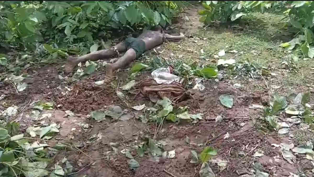 CG News : दल से बिछड़े हाथी का जानलेवा हमला, खेत से लौट रहे किसान को पटक-पटककर मार डाला