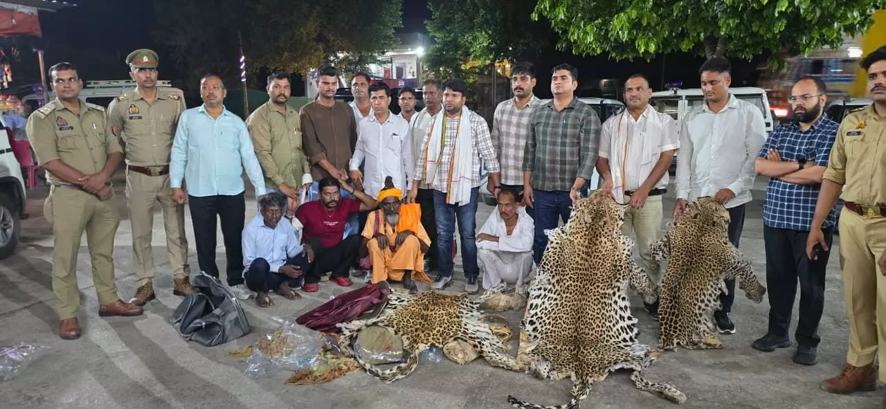 MP News : 10 तेंदुओं की खाल और सिर के साथ 4 तस्कर गिरफ्तार, पूछताछ में माधव नेशनल पार्क का नाम आने से मचा हड़कंप