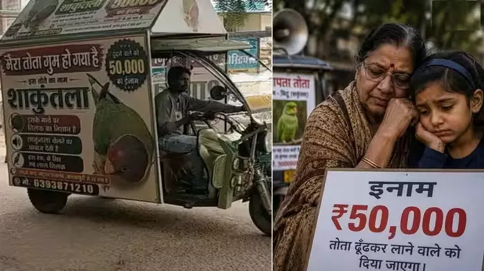 MP News : ‘बस मिट्ठू घर लौट आए…’ ग्वालियर में लापता तोते की तलाश में परिवार ने रखा 50 हजार का इनाम