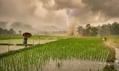 CG Weather Update : बस्तर-दुर्ग में झमाझम, रायपुर सबसे गर्म, आज भी बारिश और बिजली गिरने की चेतावनी