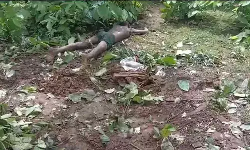 CG News : दल से बिछड़े हाथी का जानलेवा हमला, खेत से लौट रहे किसान को पटक-पटककर मार डाला CG News : दल से बिछड़े हाथी का जानलेवा हमला, खेत से लौट रहे किसान को पटक-पटककर मार डाला