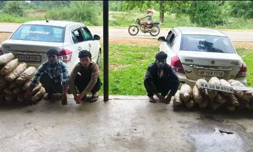 CG Crime : ओडिशा से कर्नाटक जा रही थी 62 लाख की गांजे की खेप, पुलिस ने दबोचे 3 अंतर्राज्यीय तस्कर
