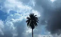CG Weather Update : मौसम ने  ली करवट, रायपुर समेत 22 जिलों में बारिश-आंधी और बिजली का अलर्ट