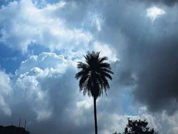 CG Weather Update : मौसम ने  ली करवट, रायपुर समेत 22 जिलों में बारिश-आंधी और बिजली का अलर्ट