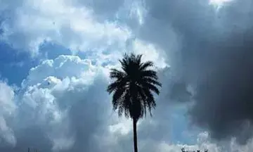 CG Weather Update : मौसम ने  ली करवट, रायपुर समेत 22 जिलों में बारिश-आंधी और बिजली का अलर्ट