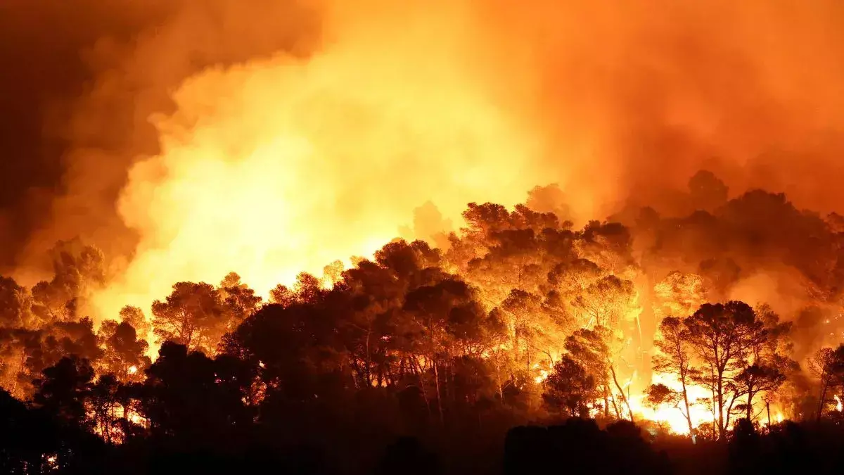 Washington Wildfires: वाशिंगटन में भयंकर आग से मची तबाही, 2.5 लाख एकड़ से ज्यादा इलाका राख; हजारों लोग सुरक्षित स्थानों पर भेजे गए Washington Wildfires: वाशिंगटन में भयंकर आग से मची तबाही, 2.5 लाख एकड़ से ज्यादा इलाका राख; हजारों लोग सुरक्षित स्थानों पर भेजे गए