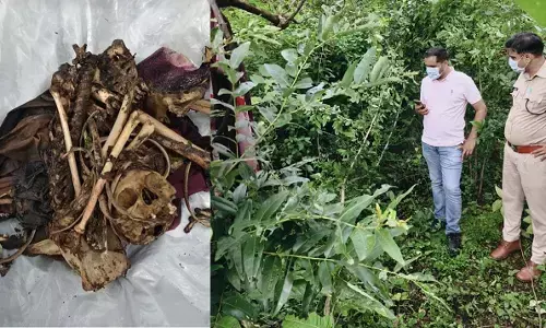 CG Crime : 6 दिन से लापता महिला का जंगल में मिला कंकाल, पेड़ से बंधी मिली साड़ी, फोरेंसिक जांच शुरू