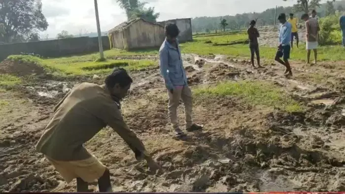 MP News : आधी रात घर में घुसा बाघ, सो रही महिला को बनाया शिकार, बेटे पर भी किया हमला MP News : आधी रात घर में घुसा बाघ, सो रही महिला को बनाया शिकार, बेटे पर भी किया हमला