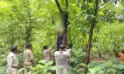 MP News : जंगल में पेड़ से लटके मिले जीजा-साली के शव, दो महीने पहले हुई थी दूसरी शादी, आत्महत्या के कारणों की जांच जारी