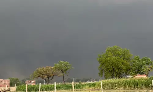 CG Weather Update : राजधानी में चिपचिपी गर्मी का सितम, बादलों के बीच भी राहत नहीं, इन जिलों में बारिश और बिजली का अलर्ट