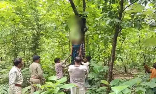 MP News : जंगल में पेड़ से लटके मिले जीजा-साली के शव, दो महीने पहले हुई थी दूसरी शादी, आत्महत्या के कारणों की जांच जारी MP News : जंगल में पेड़ से लटके मिले जीजा-साली के शव, दो महीने पहले हुई थी दूसरी शादी, आत्महत्या के कारणों की जांच जारी