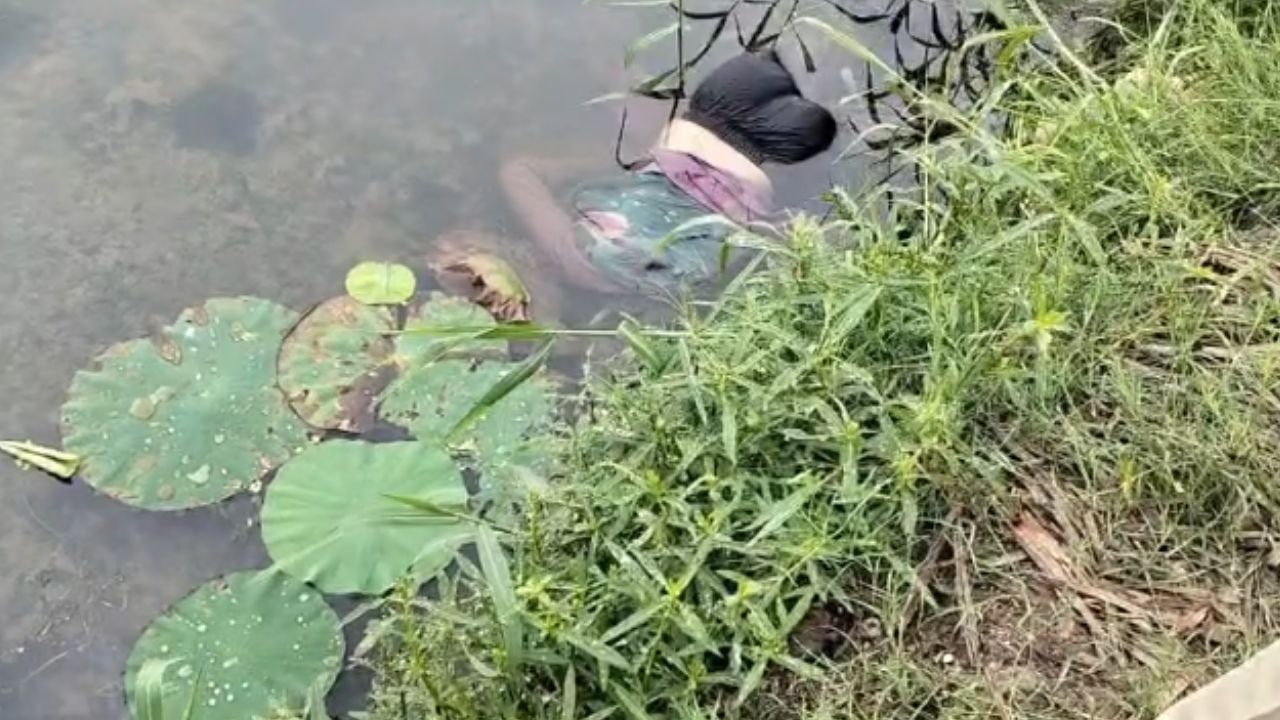 Raipur City News : WRS कॉलोनी के तालाब में मिली युवती की लाश, मोबाइल बरामद, मौत की गुत्थी सुलझाने में जुटी पुलिस