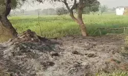 UP Crime : पत्नी के बार-बार मायके जाने से नाराज पति ने की सास की हत्या, भूसे में जलाया शव