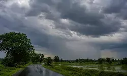 CG Weather : छत्तीसगढ़ में फिर सक्रिय हुआ मानसून, 5 जिलों में भारी बारिश का अलर्ट, रायपुर में तेज हवाओं की चेतावनी