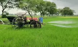CG Agriculture : बालोद के किसान का अनोखा आविष्कार, 1.70 लाख में तैयार की मशीन; मिनटों में खेत में छिड़काव