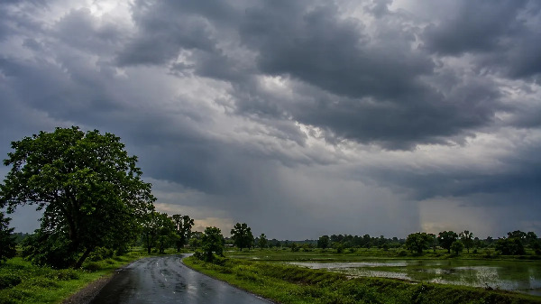 CG Weather : छत्तीसगढ़ में फिर सक्रिय हुआ मानसून, 5 जिलों में भारी बारिश का अलर्ट, रायपुर में तेज हवाओं की चेतावनी