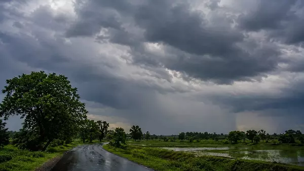 CG Weather : छत्तीसगढ़ में फिर सक्रिय हुआ मानसून, 5 जिलों में भारी बारिश का अलर्ट, रायपुर में तेज हवाओं की चेतावनी CG Weather : छत्तीसगढ़ में फिर सक्रिय हुआ मानसून, 5 जिलों में भारी बारिश का अलर्ट, रायपुर में तेज हवाओं की चेतावनी