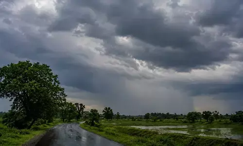 CG Weather : छत्तीसगढ़ में फिर सक्रिय हुआ मानसून, 5 जिलों में भारी बारिश का अलर्ट, रायपुर में तेज हवाओं की चेतावनी