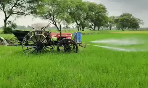CG Agriculture : बालोद के किसान का अनोखा आविष्कार, 1.70 लाख में तैयार की मशीन; मिनटों में खेत में छिड़काव CG Agriculture : बालोद के किसान का अनोखा आविष्कार, 1.70 लाख में तैयार की मशीन; मिनटों में खेत में छिड़काव