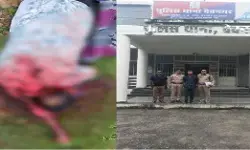 MP Crime : पत्नी से बात करने के शक में दो भाइयों ने की युवक की हत्या, फरसे से हमला कर उतारा मौत के घाट