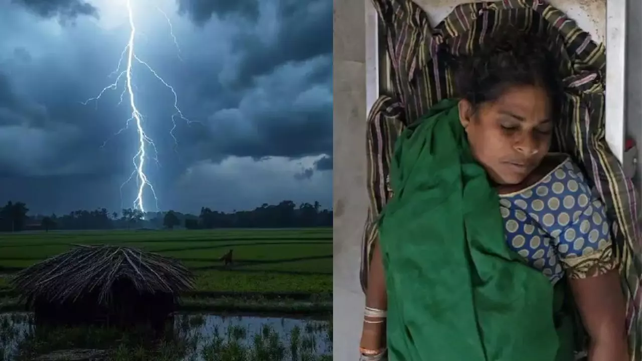 35182-899d0f30-8186-4799-aa86-391ddd6c16a1 CG News : खेत से लौट रहे ग्रामीणों पर गिरी आकाशीय बिजली, महिला की मौत, एक झुलसा