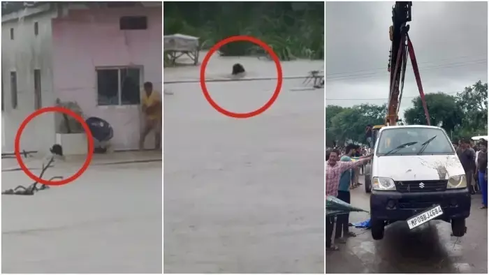 Rajgarh Accident Update : उफनते नाले में समाई ईको कार, 9 की मौत, 2 यात्रियों को बचाया गया Rajgarh Accident Update : उफनते नाले में समाई ईको कार, 9 की मौत, 2 यात्रियों को बचाया गया