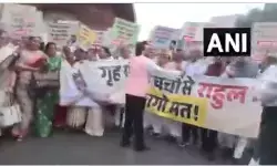 NDA MPs Protest Against Rahul Gandhi : आ रहे हैं अमित शाह...राहुल गांधी भागो मत...संसद भवन में NDA सांसदों ने विपक्ष के खिलाफ खोला मोर्चा,देखें- VIDEO