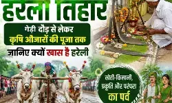 Chhattisgarh Hareli Tihar : गेड़ी दौड़ से लेकर कृषि औजारों की पूजा तक, जानिए क्यों खास है हरेली